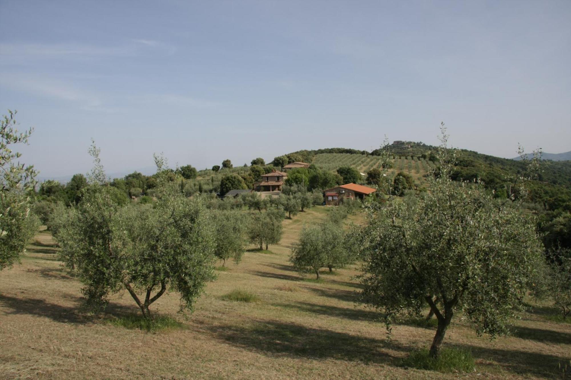 The Country House Montali Tavernelle  Dış mekan fotoğraf