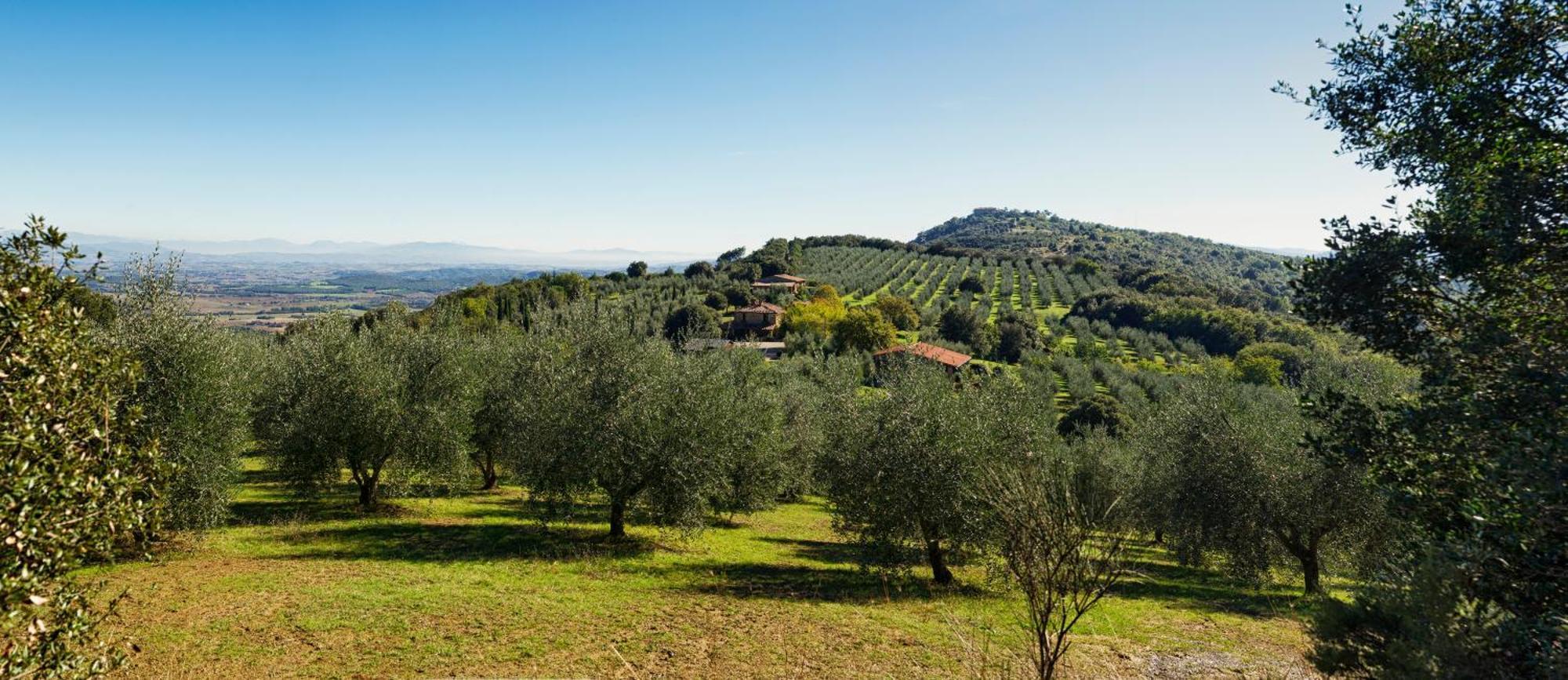 The Country House Montali Tavernelle  Dış mekan fotoğraf
